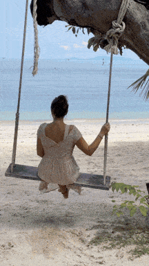 gif2 komprimiert