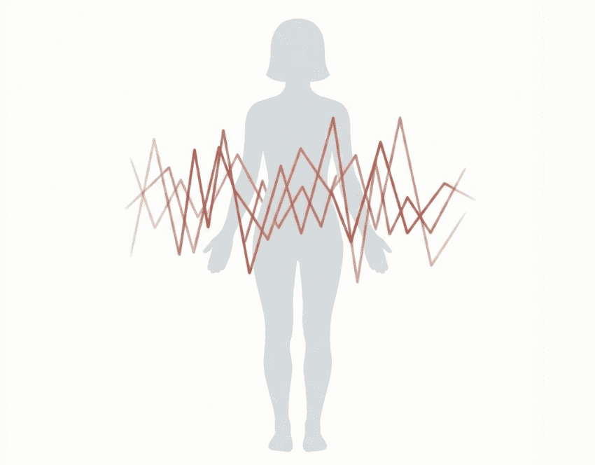 SP-Bilder-1-1-e1772174623567